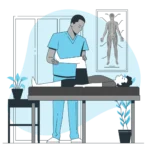 SEO for Chiropractors